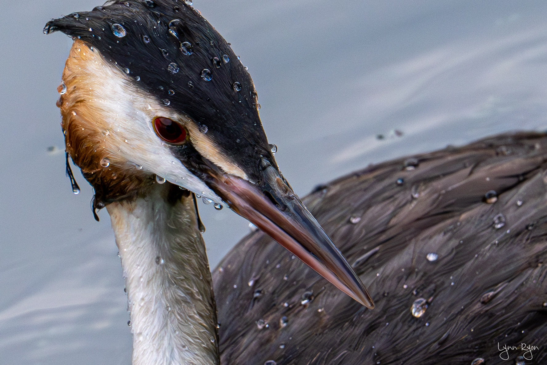 TL8 0120 Enhanced NR