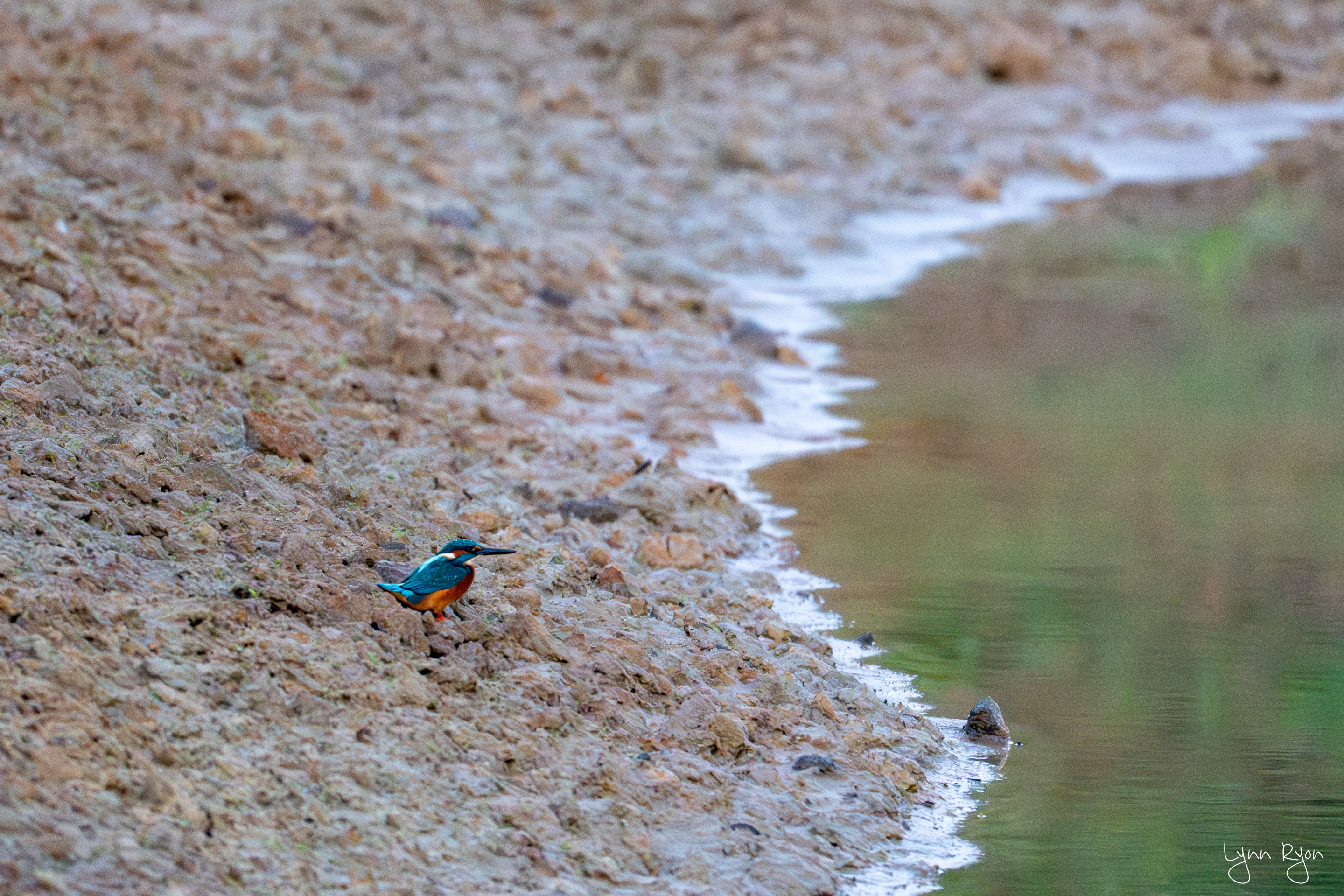 TL8 3302 Enhanced NR