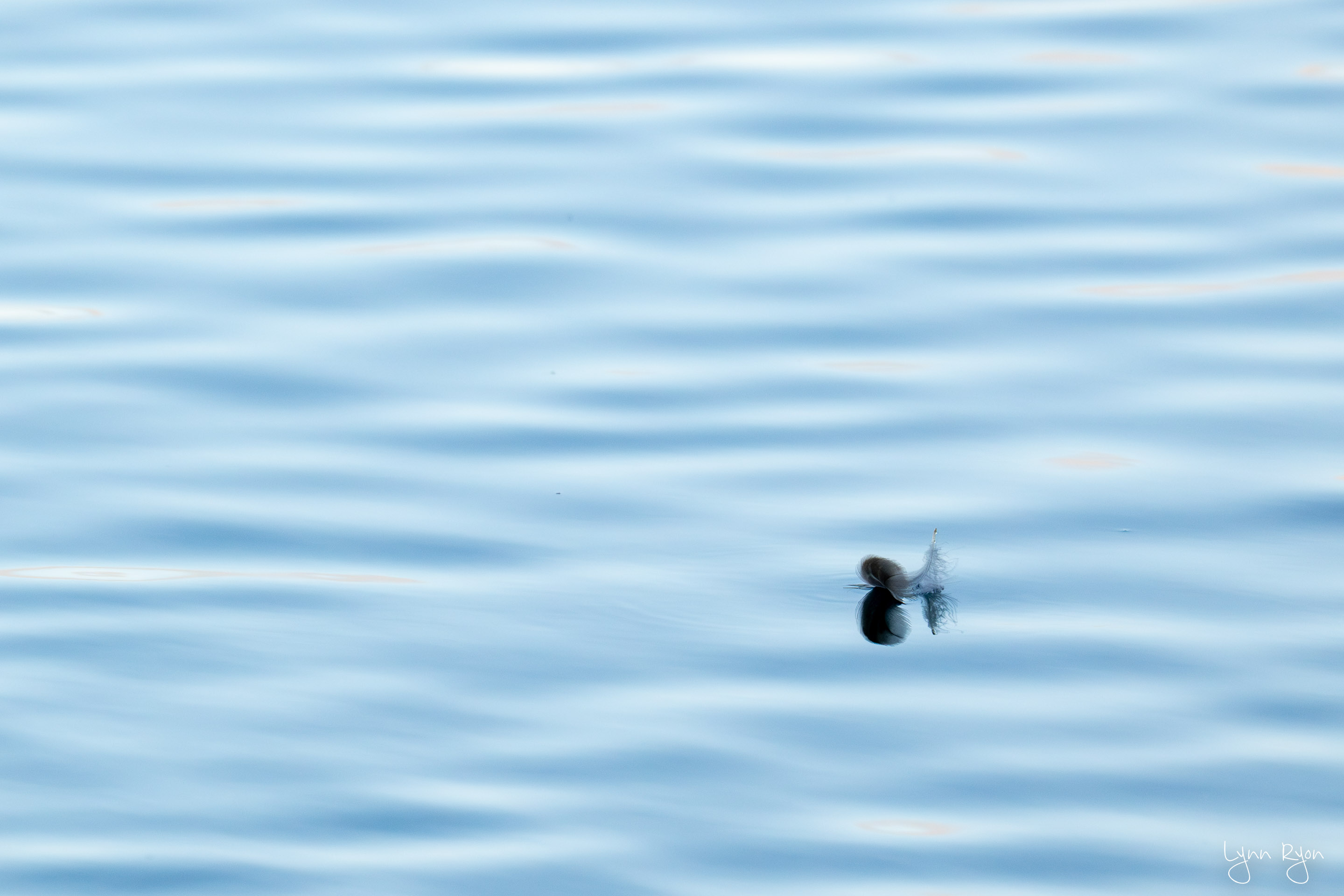 TL8 3393 Enhanced NR