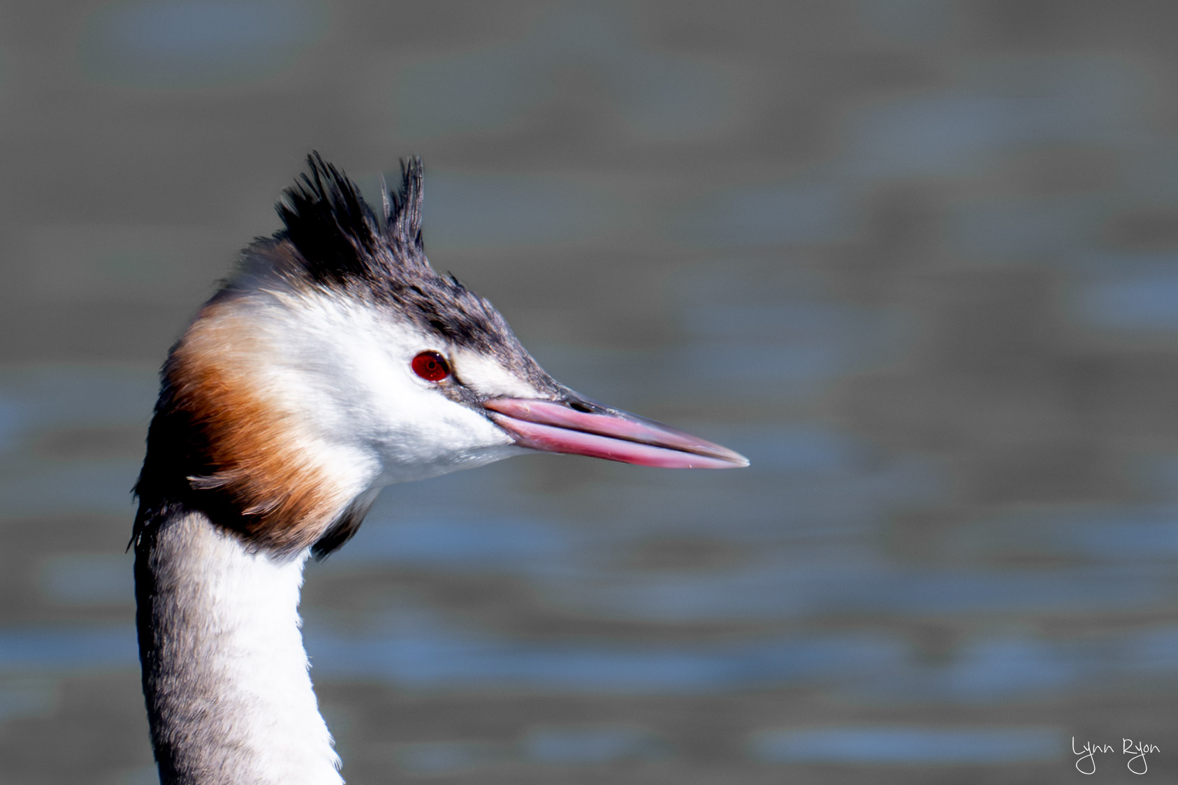 TL8 3581 Enhanced NR