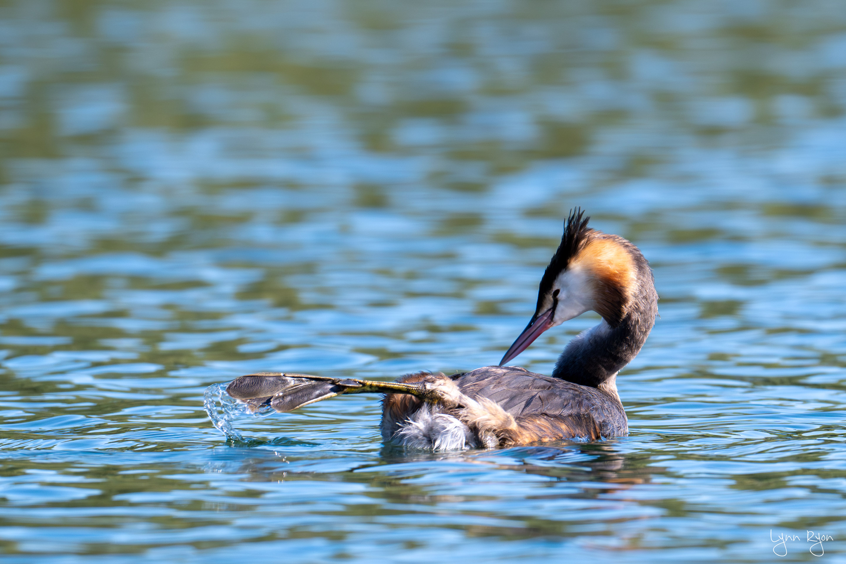 TL8 3630 Enhanced NR