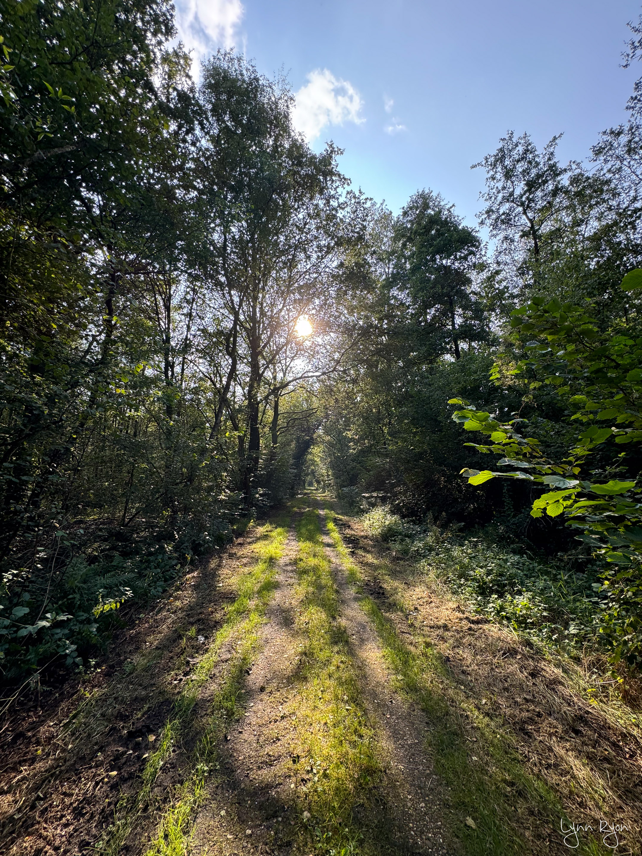 Beautiful Belgium | Sint-Maartensheide - De Luysen