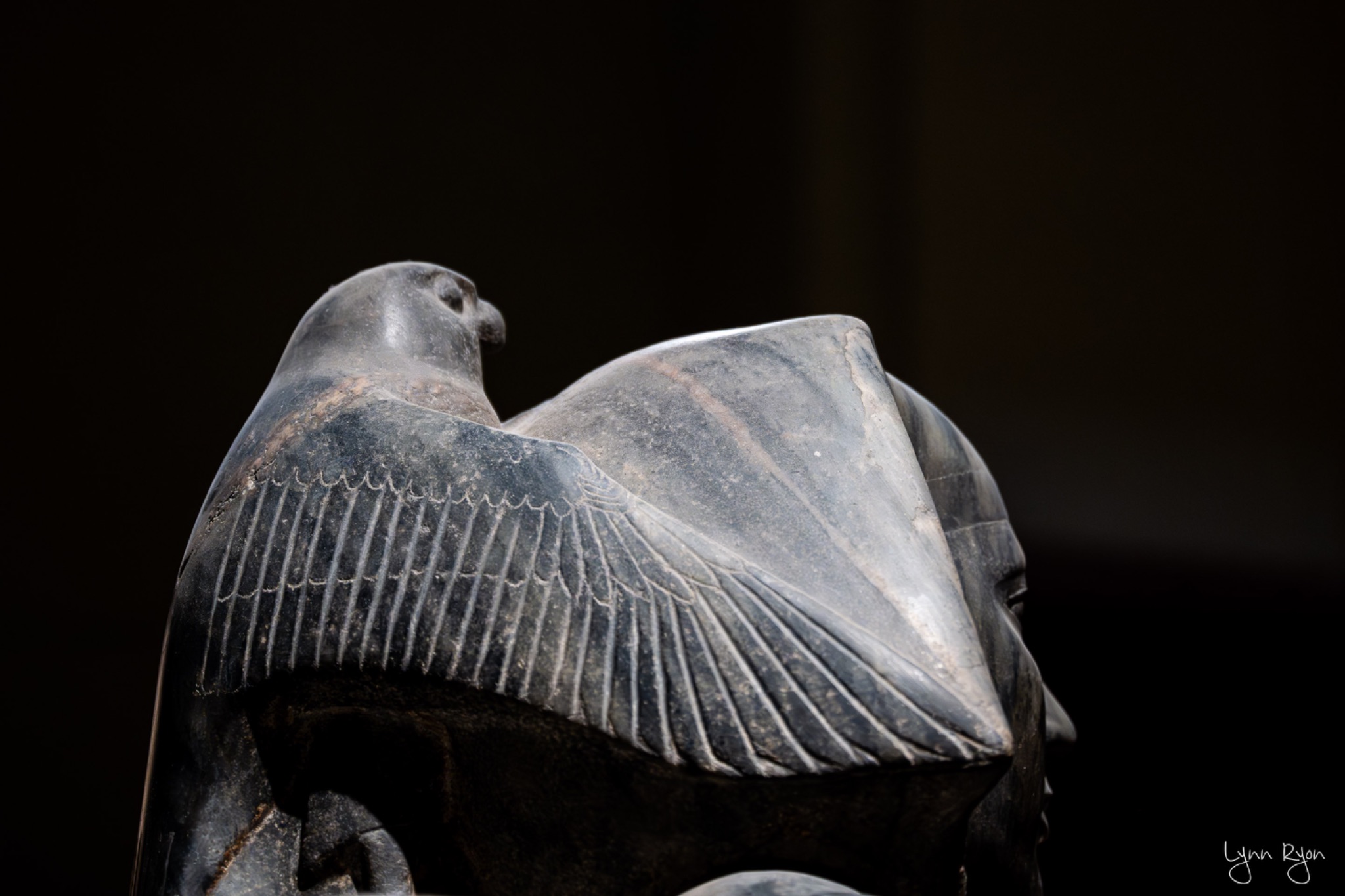 TL8 7895 Enhanced NR