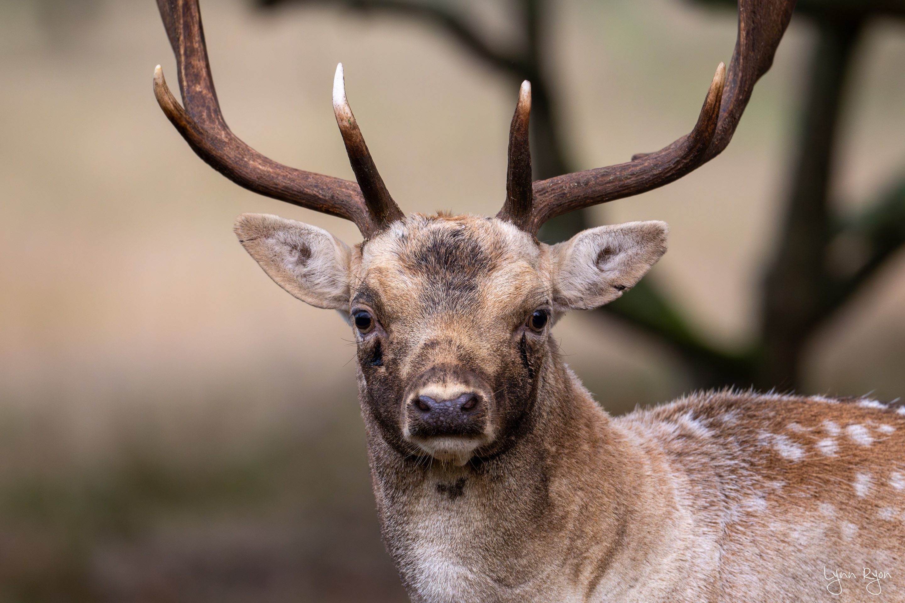 Neighbourly Netherlands | AWD & Grevelingendam