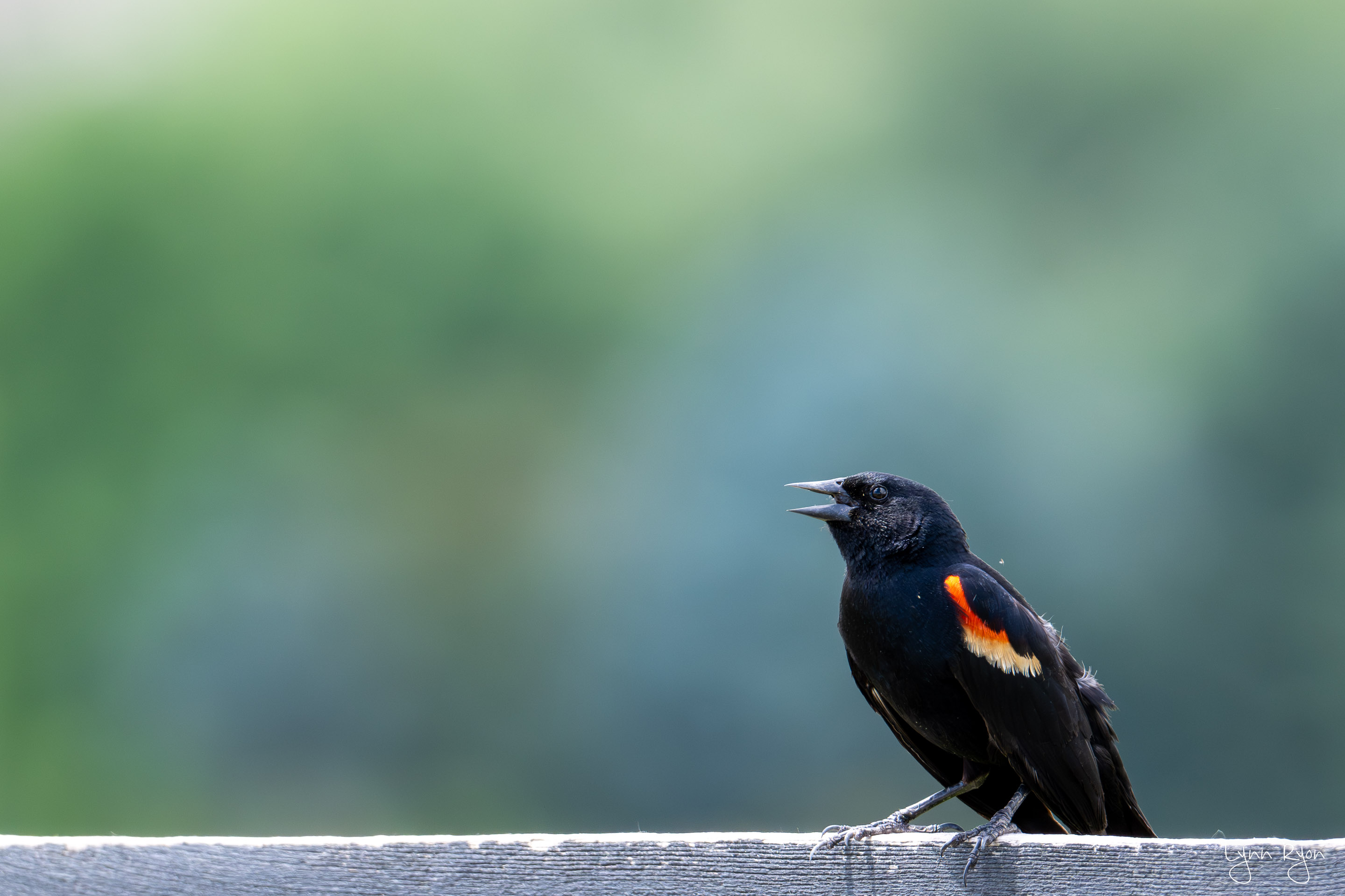 TL8 0870 Enhanced NR