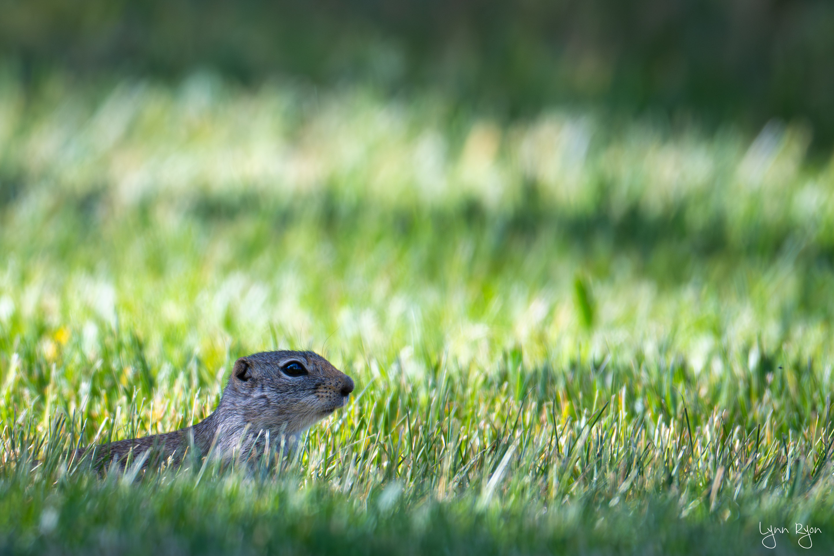 TL8 0921 Enhanced NR