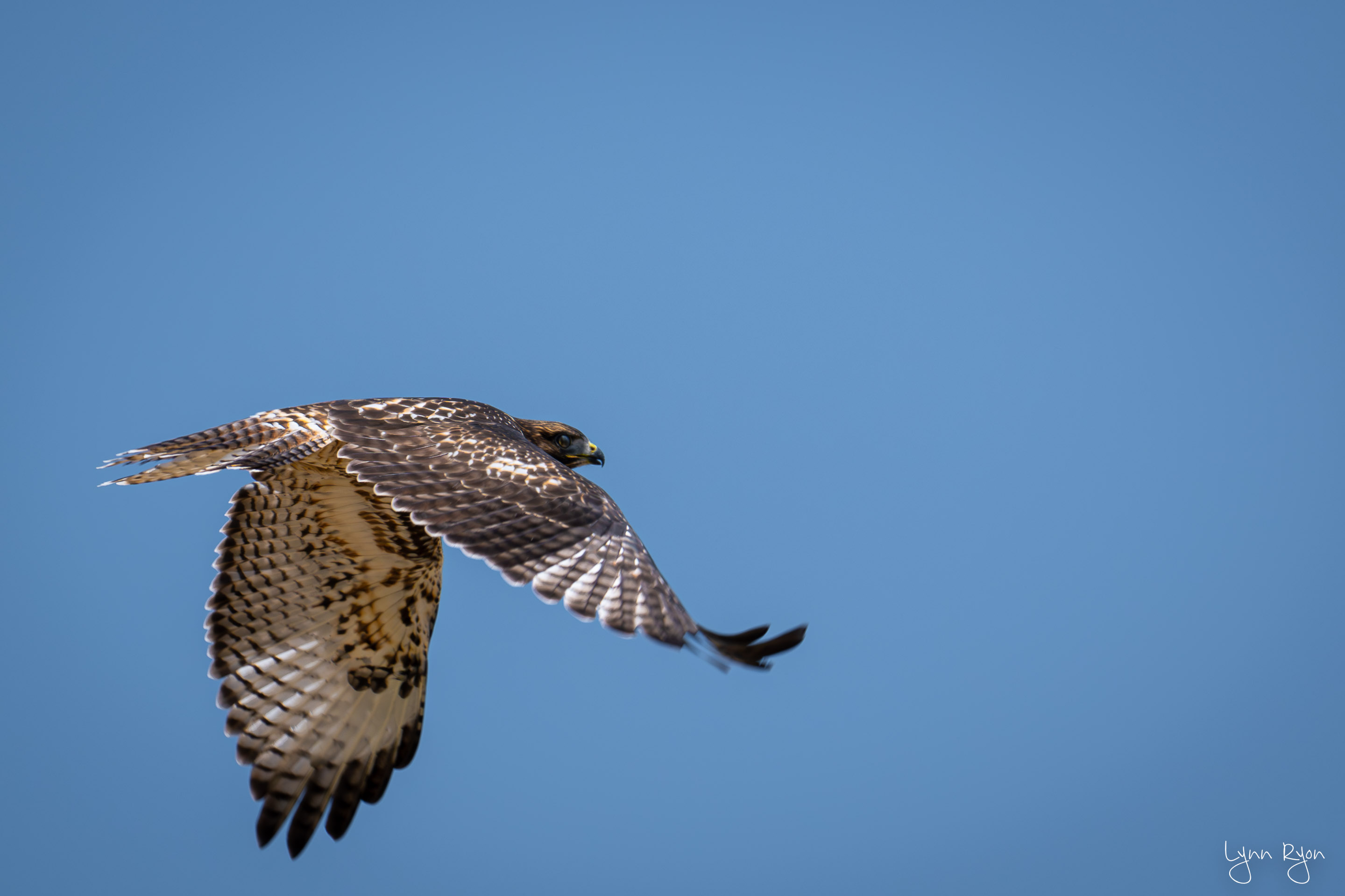 TL8 1635 Enhanced NR