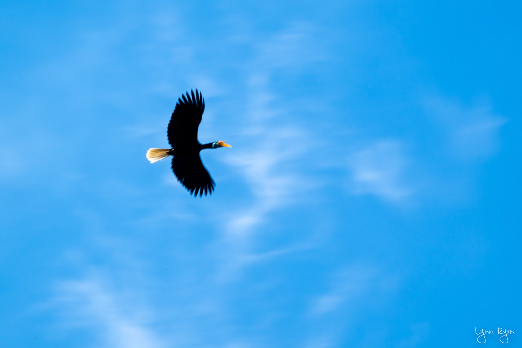 TL8 5365 Enhanced NR 2