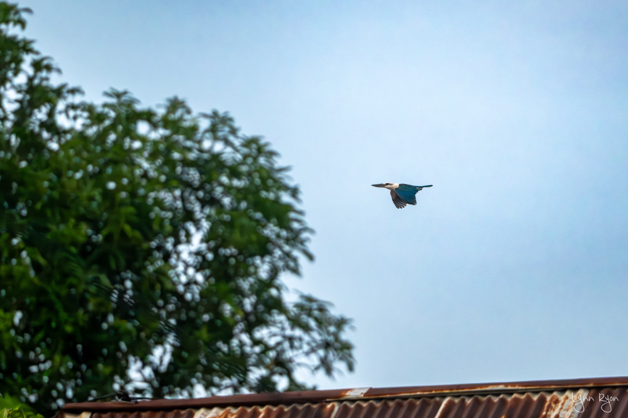 TL8 7036 Enhanced NR