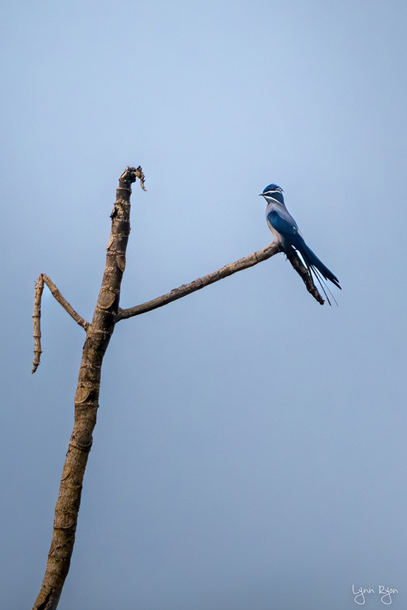 TL8 7741 Enhanced NR